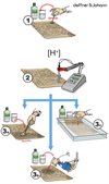 Nanostore Papper® Testkit